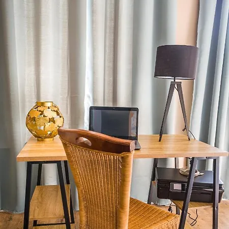 Sous les palmiers - grand appartement rénové en plein centre ville